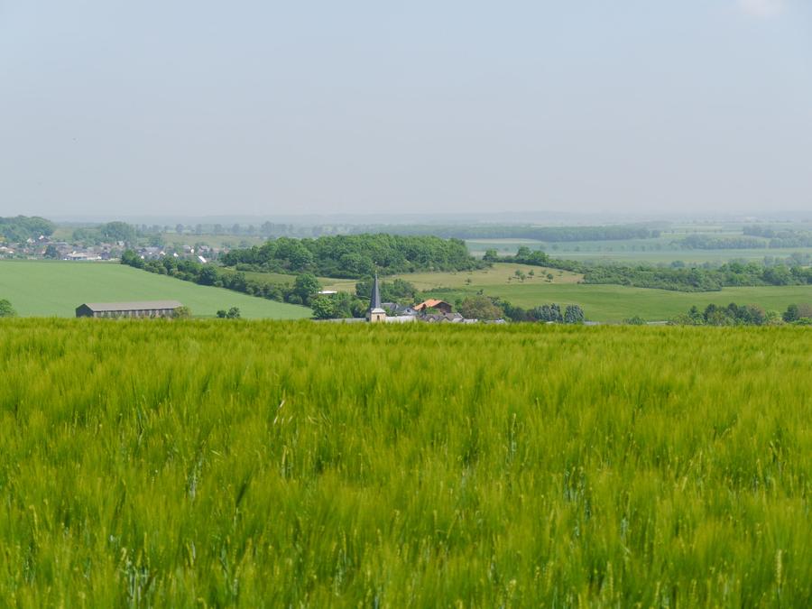 Landschaft